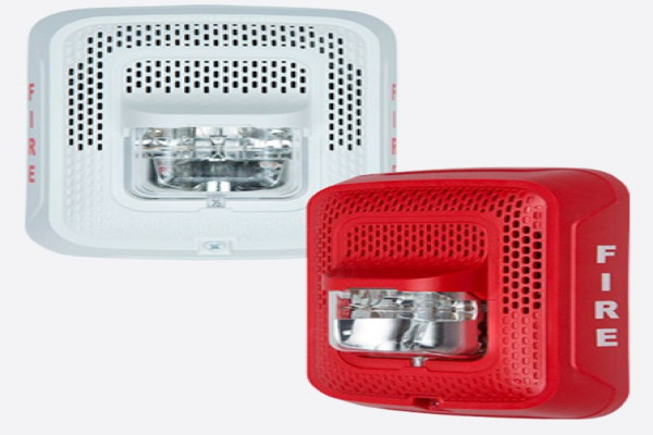 SOUNDER WITH FLASHER