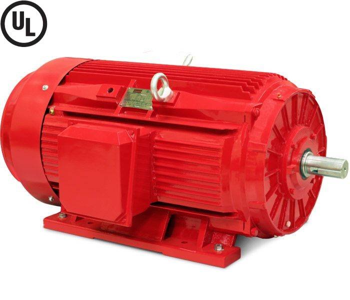 Electrical Motor