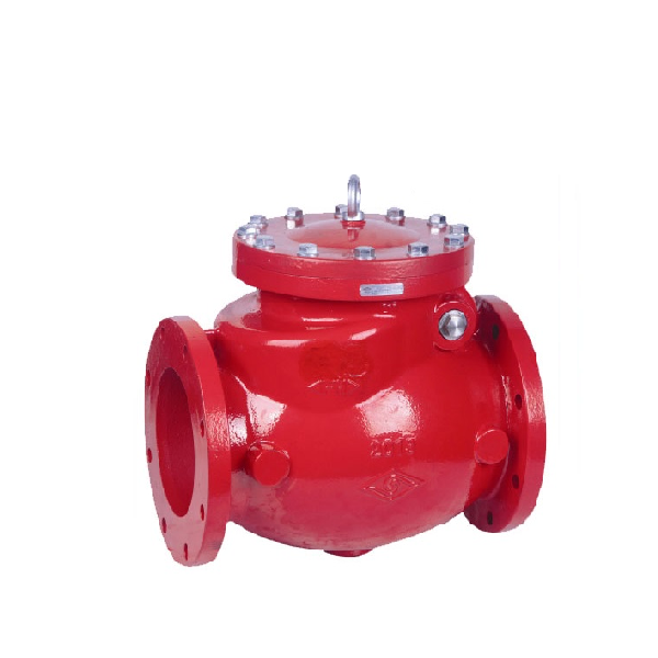 CHECK VALVE (NRV)